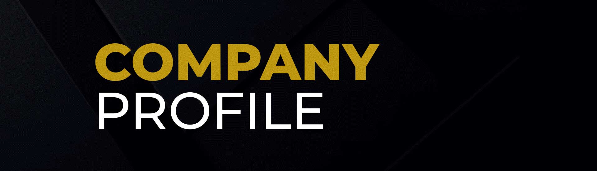 company profile